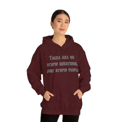 No Stupid Questions, Just Stupid People Hoodie