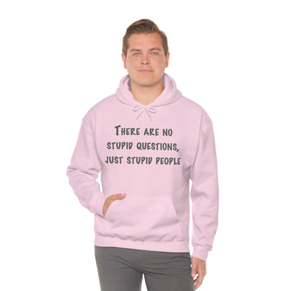 No Stupid Questions, Just Stupid People Hoodie