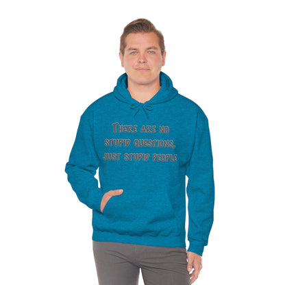 No Stupid Questions, Just Stupid People Hoodie