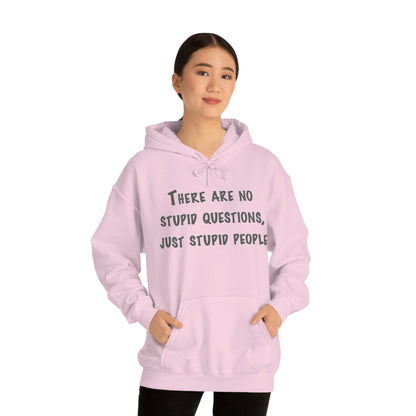 No Stupid Questions, Just Stupid People Hoodie